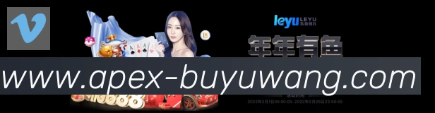 未来规划